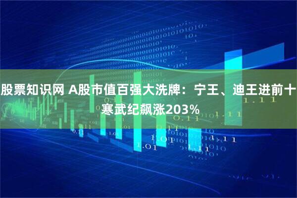 股票知识网 A股市值百强大洗牌：宁王、迪王进前十 寒武纪飙涨203%