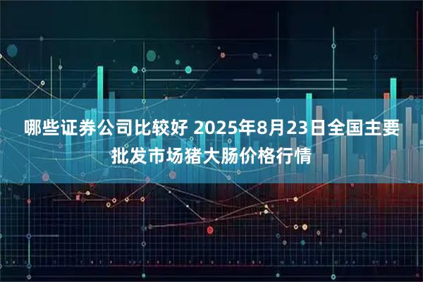 哪些证券公司比较好 2025年8月23日全国主要批发市场猪大肠价格行情
