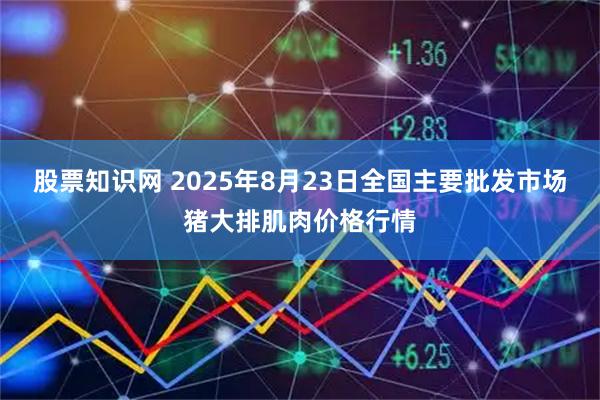 股票知识网 2025年8月23日全国主要批发市场猪大排肌肉价格行情