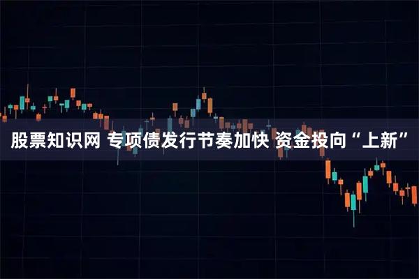 股票知识网 专项债发行节奏加快 资金投向“上新”