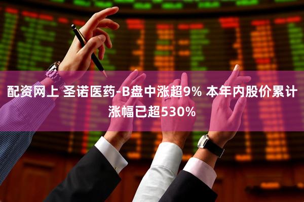 配资网上 圣诺医药-B盘中涨超9% 本年内股价累计涨幅已超530%